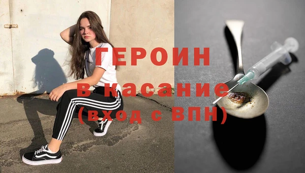 шишки Горняк