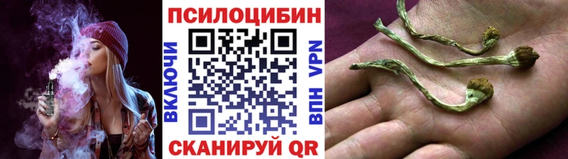 купить закладку  Карачаевск  Галлюциногенные грибы ЛСД 